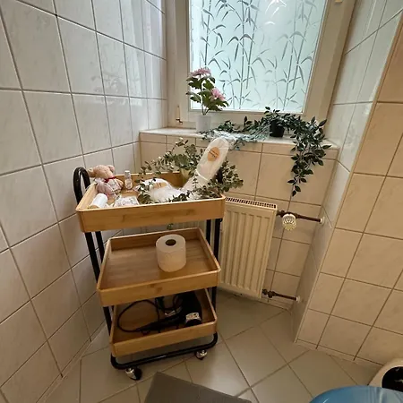 公寓 Zentral Und Modern - Dein Loft Am Zoo 莱比锡